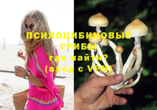 гашик Балахна