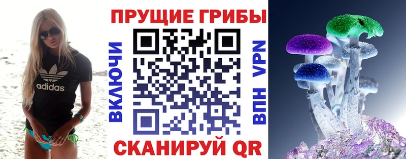 Галлюциногенные грибы MAGIC MUSHROOMS  darknet какой сайт  Балтийск 