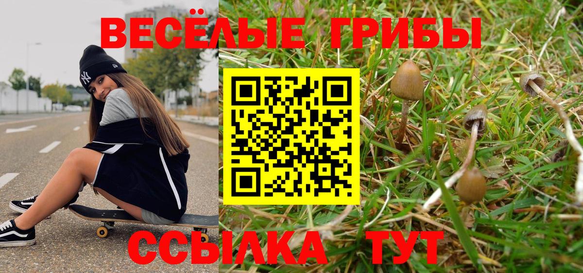 Галлюциногенные грибы ЛСД Балтийск