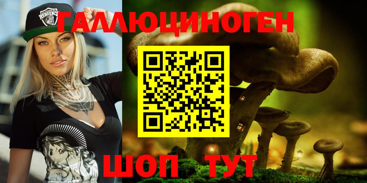 Галлюциногенные грибы Psilocybe  Вход с VPN  Балтийск 
