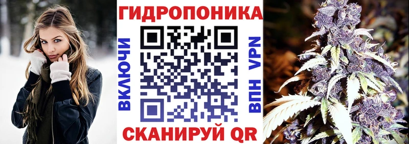 где продают наркотики  Балтийск  Конопля индика 